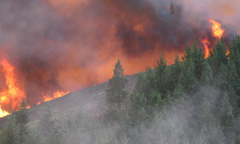 Douglas Complex fire